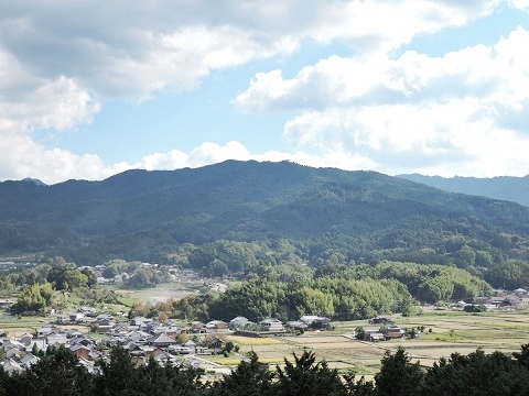写真　甘樫丘から飛鳥寺近辺の風景
